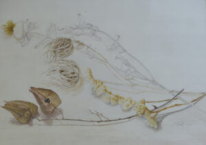 Dessin de Catherine Frantz